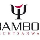 Anwalt für Verkehrsrecht und Strafrecht, Ulrich Bambor