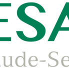 Lesal Reinigung Service - Gleisdorf