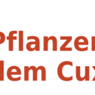 Krebs -Pflanzen aus dem Cuxland