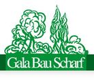 Galabau Scharf